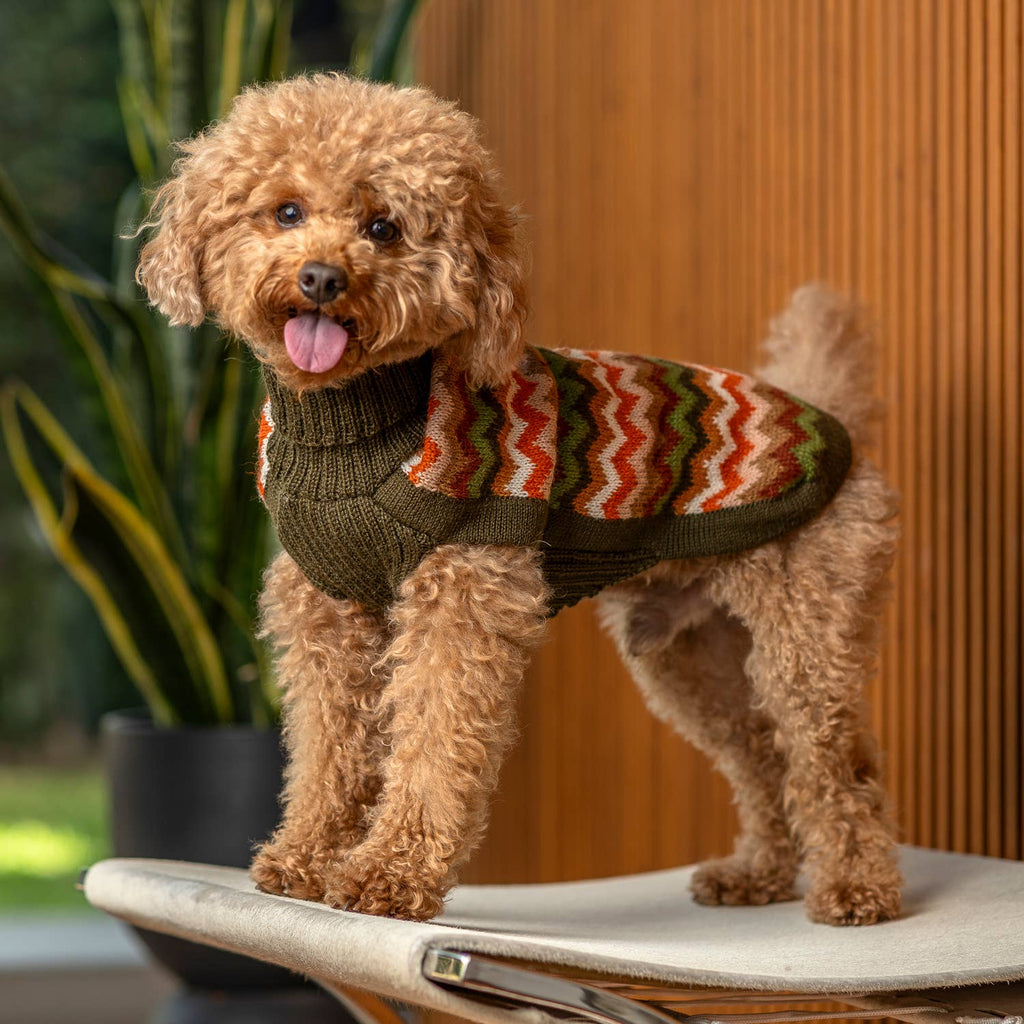 Maglione in alpaca con motivo Chevron Forest